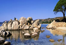 关于14比1！连斩阿森纳国米拜仁，大巴黎淘汰赛阶段豪取5连胜无人能挡的信息